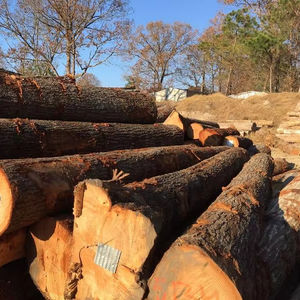 Troncos de abeto Douglas para madera resistente Troncos de abeto Douglas para fresado personalizado Troncos de abeto Douglas para corte personalizado - Product Image 1