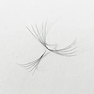 Pre Made Fanned Volume Lash Width 0.07mm Black Hand Made OEM ODM Russian Volume Eyelash Natural Long