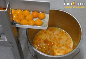 Rompehuevos OVO-TECH RX-6, 39000 Huevos/Hora, Acero Inoxidable 304, Caja de Cambios Totalmente Automática, Máquina para Romper Huevos para Uso Comercial - Product Image 6
