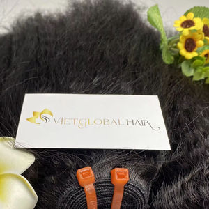 Cheveux bruts soyeux Machine Double trame crépus droits brillants cheveux humains bruts vietnamiens pour les femmes noires - Product Image 2