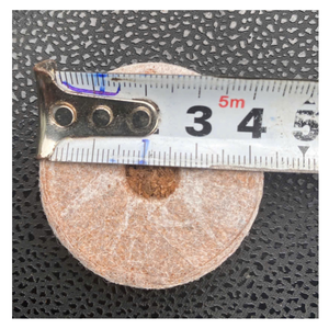 Noix de coco tourbe Pellet Excellence: Coir Jiffy du Vietnam pour facile, culture de plantes naturelles et le succès agricole - Product Image 3