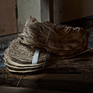 Viande de boeuf Omasum salée, séchée et congelée, biologique - Product Image 2