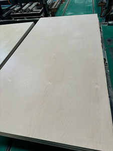 Contrachapado Fenólico Grado DD de Venta Caliente de Fábrica Vietnamita con Chapa de Abedul para Muebles y Construcción - Product Image 2