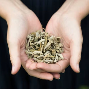 Varillas de incienso de bambú ecológicas de larga combustión-Aromas de Rosa ámbar (Gulab) Jazmín (Mogra/Chameli) Nag Champa Tuberose - Product Image 1