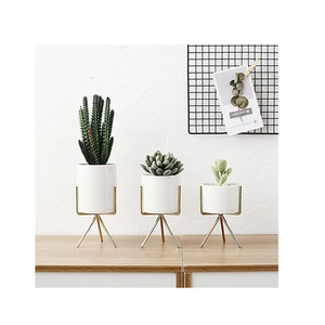 Macetas de plantas suculentas para hotel, macetas grandes de metal recubiertas de polvo para interior, con soporte de madera, gran oferta - Product Image 1