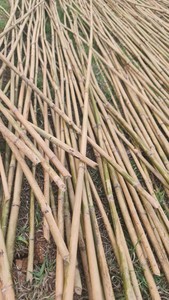 รองรับต้นไผ่ที่ผ่านการบำบัด | ขนาดที่กำหนดเอง | เพื่อการเกษตร | โรงงานโดยตรง - Product Image 5