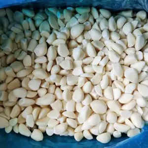 INGREDIENTE ALIMENTARIO PURO DE AJO CONGELADO NO GMO - Product Image 6