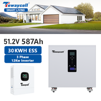 Универсальная система хранения энергии для дома AC380V 51.2V 587Ah 628Ah LiFePO4 30кВтч 32кВтч с 3-фазным инвертором 12кВт