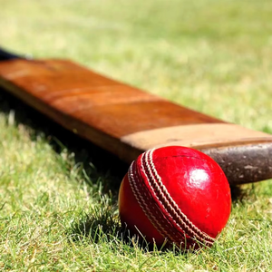 Balle dure de cricket personnalisée de haute qualité meilleure balle dure en cuir de sport dans de nouvelles couleurs - Product Image 4