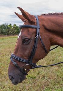 Brida De Filete de doble elevación Joya Horse con banda nasal acolchada y banda para la frente con herrajes de acero inoxidable plateados - Product Image 5