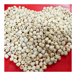 Semillas de Loto Secas, Material de Alta Calidad Diseñado para Mezclas de Bebidas y Desarrollo de Recetas, Originarias de Vietnam - Product Image 6