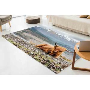 Tapis Vache des Highlands, Tapis de Ferme, Tapis Tendance, Tapis Animalier, Tapis Classique, Tapis Doux à Poils Longs - Product Image 2