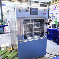 Groente Vacuüm Vriesdroogmachine Aardbei Vijg Fruit Professionele Voedsel Dehydrator Machine voor Fruit, Groenten en Bloemen