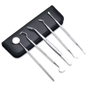 Kit de Limpieza Dental Manual de Acero Inoxidable, Kit de Limpieza Dental Reutilizable para Uso Profesional - Product Image 1