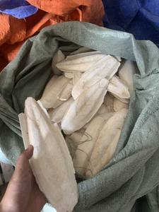 Offre Spéciale os de seiche pour oiseaux/prêt à expédier os de seiche séché Ms sofia - Product Image 6