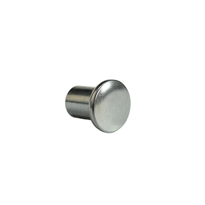 Remache Plano Personalizado, Remache Ciego Sólido, Remache de Acero Inoxidable, Remache de Aluminio Plateado - Product Image 1