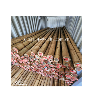 100% postes de bambú natural de proveedores vietnamitas para garantizar calidad y origen - Product Image 3