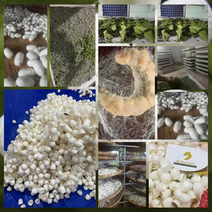 ลูกบอลผ้าฝ้ายผ้าไหมสำหรับดูแลผิวหน้าทำจากผ้าฝ้ายธรรมชาติดูแลผิวหน้าอย่างอ่อนโยนอ่อนโยนและดูแลความงาม - Product Image 6