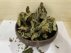 Natural Vietnam Dried Papaya Leaves Carica Papaya Bulk Tea <b>Material</b> Direct Factory Custom <b>Packaging</b> - Product Image 5