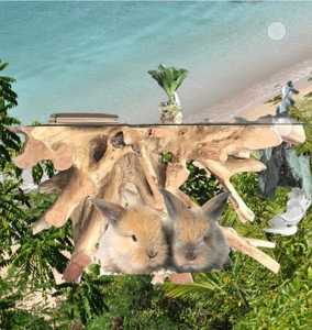 Table console en racine de teck, table console unique, table antique, table en racine de teck - Product Image 1