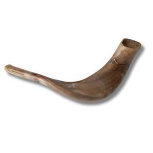Shofar de Cuerno de Carnero Premium, Instrumento Musical Religioso Judío Auténtico - Product Image 6