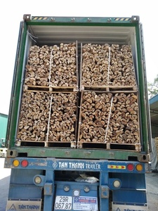 {HOT - DEAL} -BOIS SÉCHÉ/BOIS DE CHAUFFAGE pour le CHAUFFAGE et MATÉRIAUX UTILISÉS pour la FABRICATION/MEILLEUR PRIX - Product Image 4