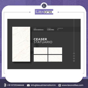 Venta caliente 600X1200MM Interior Diseño moderno Porcelana Tallado Azulejos 5mm Espesor para pisos de cocina Directo del exportador indio - Product Image 2