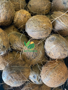 COCO SEMI CUSKED al por mayor COCO SEMI CUSKED DE ALTA CALIDAD precio barato de VIET THIEN PHU - VIET NAM - Product Image 2