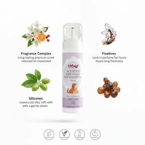 Práctico Bebedero de Plástico para Perros - Product Image 3