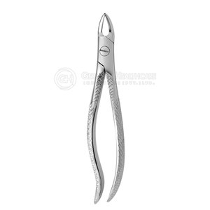 Fórceps de extracción Dental de acero inoxidable de calidad superior Instrumentos dentales Precio superior Fórceps de extracción Dental - Product Image 5