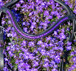 Bride anatomique FSS PURPLE GLITTER BLING FREEWAY Curve CUT AWAY Headpiece NEW - Product Image 3