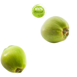 สำรวจประโยชน์ต่อสุขภาพของมะพร้าวสดเวียดนาม - Product Image 6