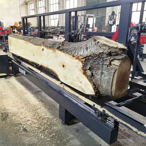 Sierra circular de alta calidad para cortar troncos, sierra de mesa deslizante para procesamiento de <span class=keywords><strong>madera</strong></span>, máquina de aserradero para cortar <span class=keywords><strong>madera</strong></span>. - Product Image 3