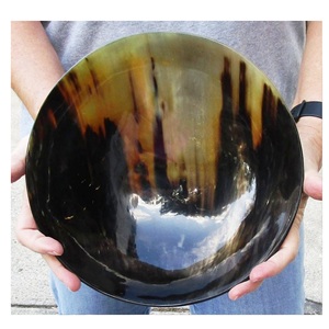 Ensemble de vaisselle et de cuillère en corne de buffle naturelle Formes ovales et rondes modernes rustiques pour le déjeuner et la fête Design vintage - Product Image 2