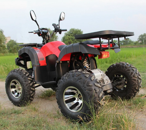 รถเอทีวีพลาสติกแบบใหม่ เครื่องยนต์แก๊ส/ดีเซล 4 จังหวะ 200 ซีซี ขับเคลื่อน 4 ล้อ เกียร์อัตโนมัติ ปรับแต่งได้ตามความต้องการ ความเร็ว 75-100 กม./ชม. ระดับอุตสาหกรรม DIY - Product Image 3