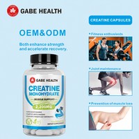 Fabricant de compléments alimentaires sur mesure, capsules de créatine, compléments alimentaires pour la musculation des adultes, prévention de la perte musculaire, capsules OEM