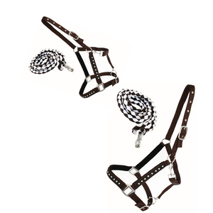 Bozal de caballo transpirable de la mejor calidad con acolchado suave y correas ajustables para protección de pastoreo y máxima comodidad - Product Image 5