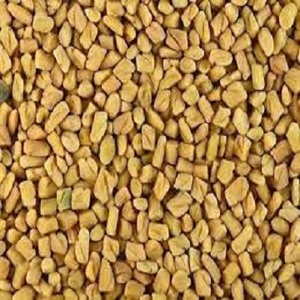 Extracto de Semilla de Fenogreco Natural de Alta Calidad, Marca MKJ, Origen Assam, 24 Meses de Duración, Ingredientes Alimenticios - Product Image 2