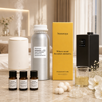Huile parfumée à la senteur de musc blanc, échantillon de 5 g, pour diffuseur d'arômes, huile de parfum pour diffuseur d'air froid, huile parfumée longue durée