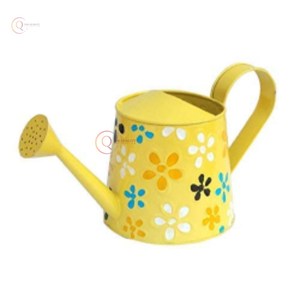 Bidon d'eau en métal antirouille élégant avec bec court étroit pour l'arrosage des plantes d'intérieur et les activités d'entretien des fleurs en plein air - Product Image 1