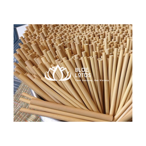 Pailles à boire en bambou biodégradable pailles naturelles écologiques réutilisables pour une vie respectueuse de l'environnement - Product Image 1