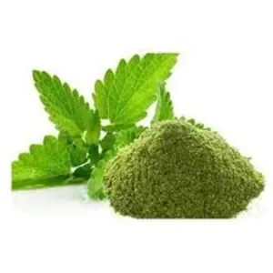 Polvo de menta pura multiusos extraído de 100% hojas de menta al por mayor - Product Image 6