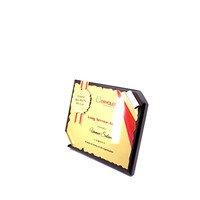 Plaque de reconnaissance de qualité supérieure en or martelé pour entreprise, récompense pour longue service, 8x10 pouces, trophées de graduation éducatifs Inde, style régale