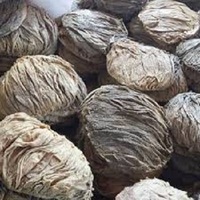 Vente en gros de tripes transformées naturelles avec graisse et organes, désossées de boeuf Omasum et buffle halal, surgelées et hachées