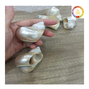 Servilleteros de concha marina hechos a mano, decoración de mesa de playa costera, suministros para fiesta de boda de Vietnam - Product Image 6