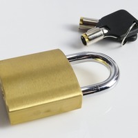 Cadenas à clé maîtresse en laiton ABA 30 mm avec roulement à billes, corps carré, personnalisable, sécurisé pour casiers de gym et boîtes à outils