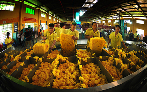 Caucho Natural Crudo de Alta Calidad Premium de Vietnam / Hana - Product Image 5