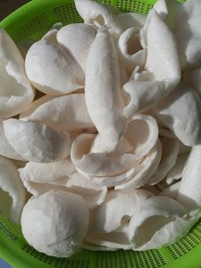 Tipo IQF Cocos congelados Venta al por mayor Cocos enteros maduros con sabor dulce Semi cáscara Embalaje a granel - Product Image 4