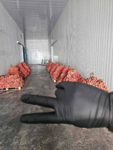 Vải Thiều đông lạnh tươi | công nghệ iqf | Thời hạn sử dụng dài - Product Image 3