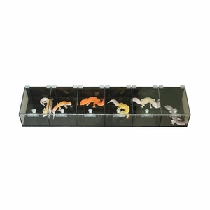 Fornitore Professionale di Terrari in Acrilico con Coperchio a Chiusura Sicura per Cuccioli di Pitone Reale, Teche Espositive in Acrilico per <span class=keywords><strong>Serpenti</strong></span> - Product Image 1